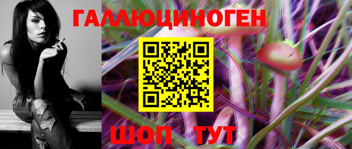 Галлюциногенные грибы ЛСД  Ачхой-Мартан  Псилоцибиновые грибы Psilocybe 